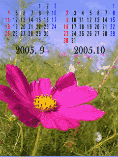 �s�N�`���[�ǂݍ��݂��Ă�