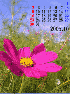 �s�N�`���[�ǂݍ��݂��Ă�