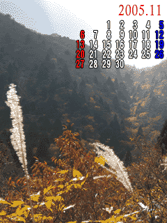 �s�N�`���[�ǂݍ��݂��Ă�