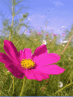 �s�N�`���[�ǂݍ��݂��Ă�