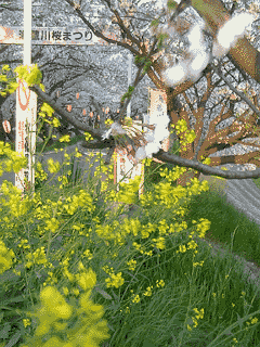 �s�N�`���[�ǂݍ��݂��Ă�